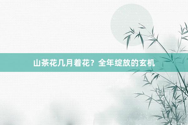 山茶花几月着花？全年绽放的玄机
