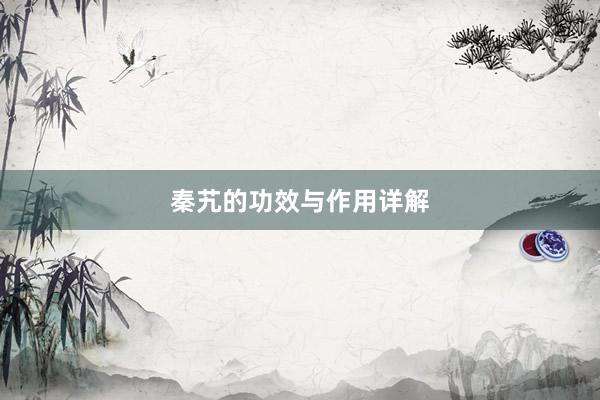 秦艽的功效与作用详解