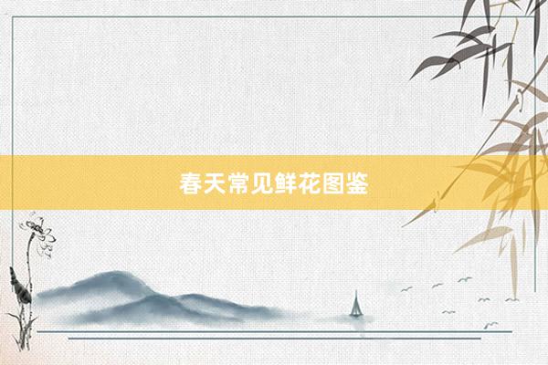 春天常见鲜花图鉴