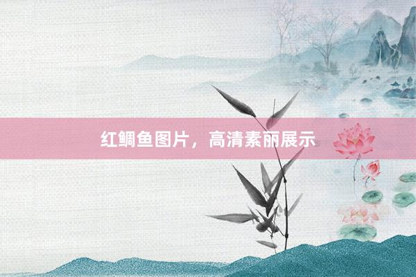 红鲷鱼图片，高清素丽展示