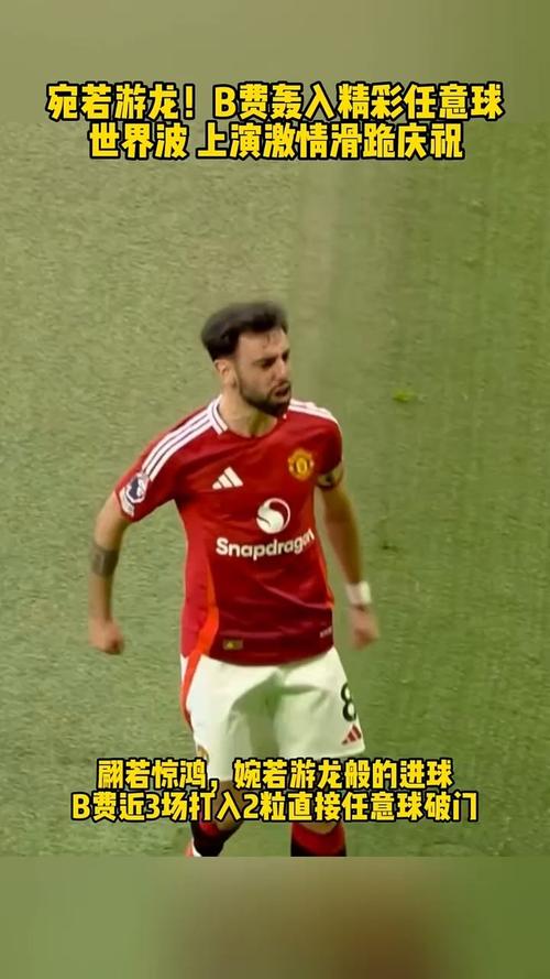 B费vs阿森纳一战的传球表现，你们给几分？